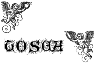 Revitalize Your Brand Identity with the Timeless Elegance of Tosca