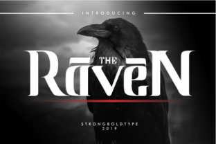 The Strategic Impact of Raven: Elevating Visual Identity Through Precision Typography